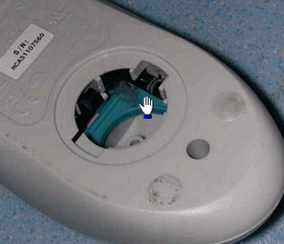 souris