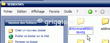 windows