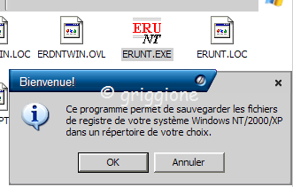 sauvegarde BdR