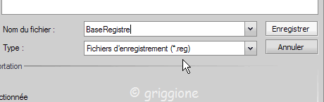 sauvegarde BdR