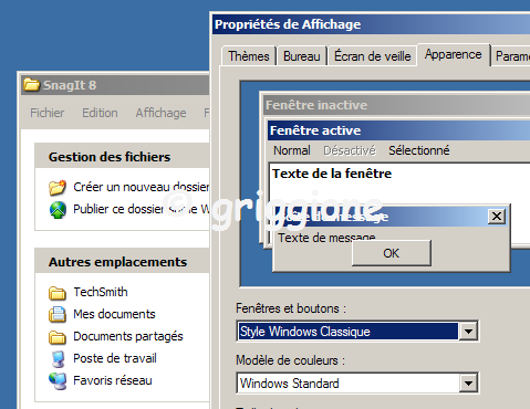 apparence classique